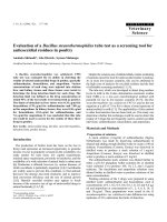 Báo cáo khoa học: 