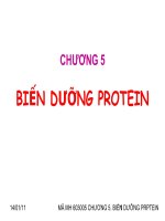 BIẾN DƯỠNG PROTEIN ppsx