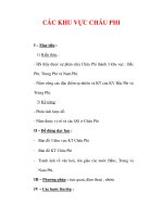 Giáo án Địa Lý 7 : Tên bài dạy : CÁC KHU VỰC CHÂU PHI potx