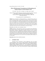 Báo cáo vật lý: 