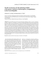 Báo cáo lâm nghiệp: 