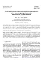 Báo cáo lâm nghiệp: 