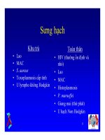 Bài giảng điều trị HIV : Các cách tiếp cận khi bệnh nhân sốt part 3 doc