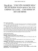 BẢNG TÓM TẮT ĐỀ TÀI Tên đề tài : “CHUYÊN NGHIỆP HÓA” HỒ SƠ KIỂM TOÁN BÁO CÁO TÀI CHÍNH TẠI AASC – CHI NHNH TP. HỒ CHÍ MINH ppt