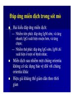 Bài giảng Các bệnh nhiễm rickettsiae (rickettsioses) part 3 pps