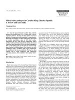 Báo cáo khoa học: 