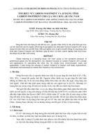 TÌM HIỂU VỀ CARBON FOOTPRINT VÀ ÁP DỤNG TÍNH CARBON FOOTPRINT CHO LỤA MÃ CHÂU, QUẢNG NAM pptx