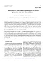 Báo cáo lâm nghiệp: 