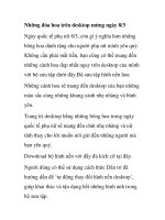 Những đóa hoa trên desktop mừng ngày 8/3 pdf