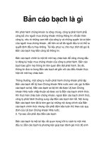Bản cáo hoạch là gì? ppt