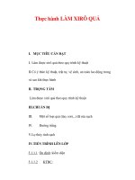 Giáo án Công nghệ lớp lớp 9 : Tên bài dạy : Thực hành LÀM XIRÔ QUẢ ppsx