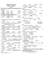 THE EXAMINATION ( 2010-2011 ) docx