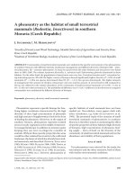 Báo cáo lâm nghiệp: 