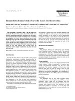 Báo cáo khoa học: 