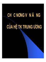 Bài giảng Chức năng vận động của hệ thần kinh trung ương part 1 pdf