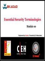 Module 001   essential security terminologies