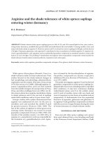 Báo cáo lâm nghiệp: 