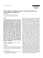 Báo cáo khoa học: 