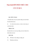Giáo án Công nghệ lớp lớp 9 : Tên bài dạy : Thực hành BÓN PHÂN THÚC CHO CÂY ĂN QUẢ pdf