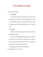 Giáo án Địa lý lớp 9 : Tên bài dạy : VÙNG ĐÔNG NAM BỘ doc