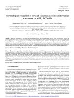 Báo cáo lâm nghiệp: 