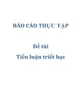 Đề tài: Tiểu luận triết học pot