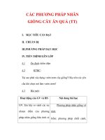 Giáo án Công nghệ lớp 9 : Tên bài dạy : CÁC PHƯƠNG PHÁP NHÂN GIỐNG CÂY ĂN QUẢ (TT) potx