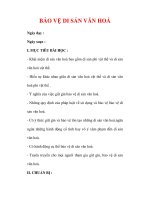 Giáo án Công dân lớp 7 : Tên bài dạy : BẢO VỆ DI SẢN VĂN HOÁ ppsx