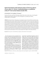 Báo cáo lâm nghiệp: 