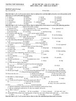 ĐỀ THI THỬ ĐH – CĐ LẦN I ( 2010 - 2011 ) MÔN: TIẾNG ANH - Mã đề:167 ppsx