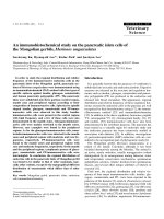 Báo cáo khoa học: 