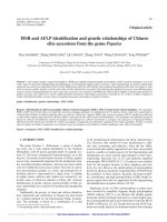 Báo cáo lâm nghiệp: 