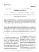 Báo cáo lâm nghiệp: 