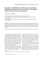 Báo cáo lâm nghiệp: 