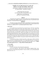 NGHIÊN CỨU SỰ PHÁT QUANG CỦA ION CR3+ TRONG VẬT LIỆU NỀN SPINEL NHÂN TẠO potx