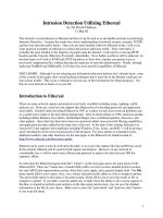 Intrusion Detection Utilizing Ethereal phần 1 ppsx