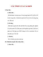 Giáo án Hóa học lớp 9 : Tên bài dạy : CÁC ÔXIT CỦA CACBON docx