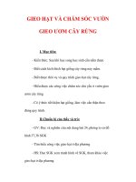 Giáo án Công nghệ lớp 7 : Tên bài dạy : GIEO HẠT VÀ CHĂM SÓC VƯỜN GIEO ƯƠM CÂY RỪNG potx