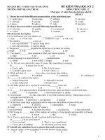 ĐỀ KIỂM TRA HỌC KỲ 2 MÔN: TIẾNG ANH 12 - ĐỀ SỐ 1 ppt