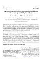 Báo cáo lâm nghiệp: 