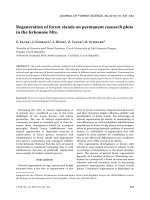 Báo cáo lâm nghiệp: 