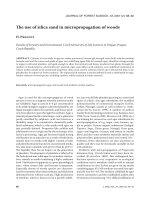 Báo cáo lâm nghiệp: 