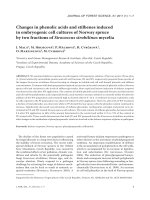 Báo cáo lâm nghiệp: 