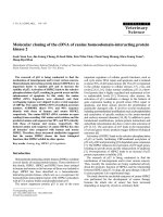 Báo cáo khoa học: 