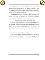 Giáo trình phân tích ứng dụng nguyên lý dãy số lập trình vòng quay với các tỷ số tài chính p4 docx