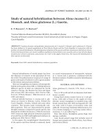 Báo cáo lâm nghiệp: 