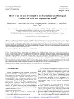 Báo cáo lâm nghiệp: 