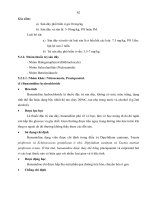 Giáo trình Dược lý đại cương - Chương 5 potx