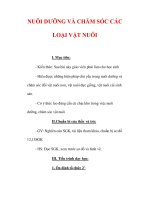 Giáo án Công nghệ lớp 7 : Tên bài dạy : NUÔI DƯỠNG VÀ CHĂM SÓC CÁC LOẠI VẬT NUÔI ppt