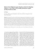 Báo cáo lâm nghiệp: 